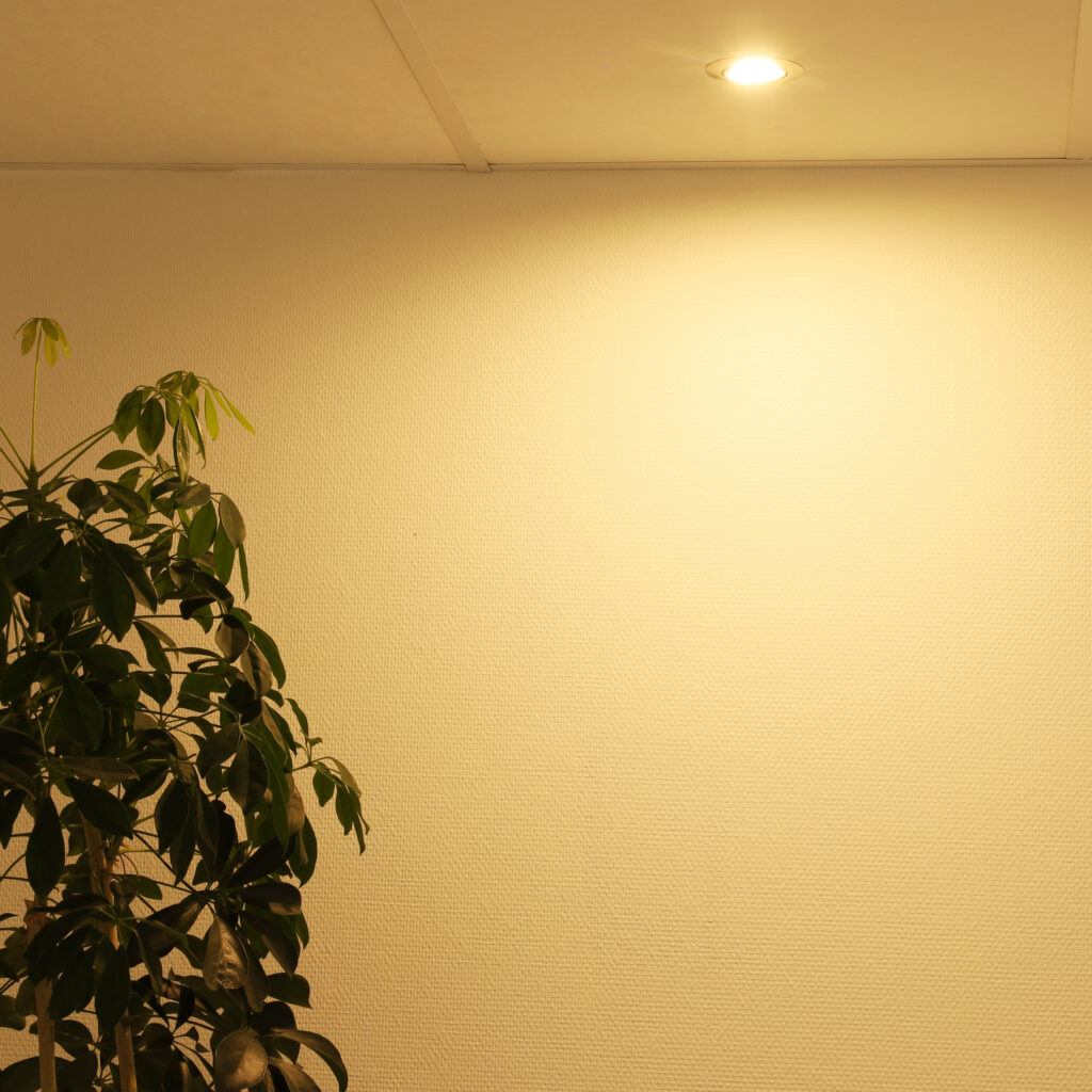 Porto spot verlicht een wand met warm licht naast een plant